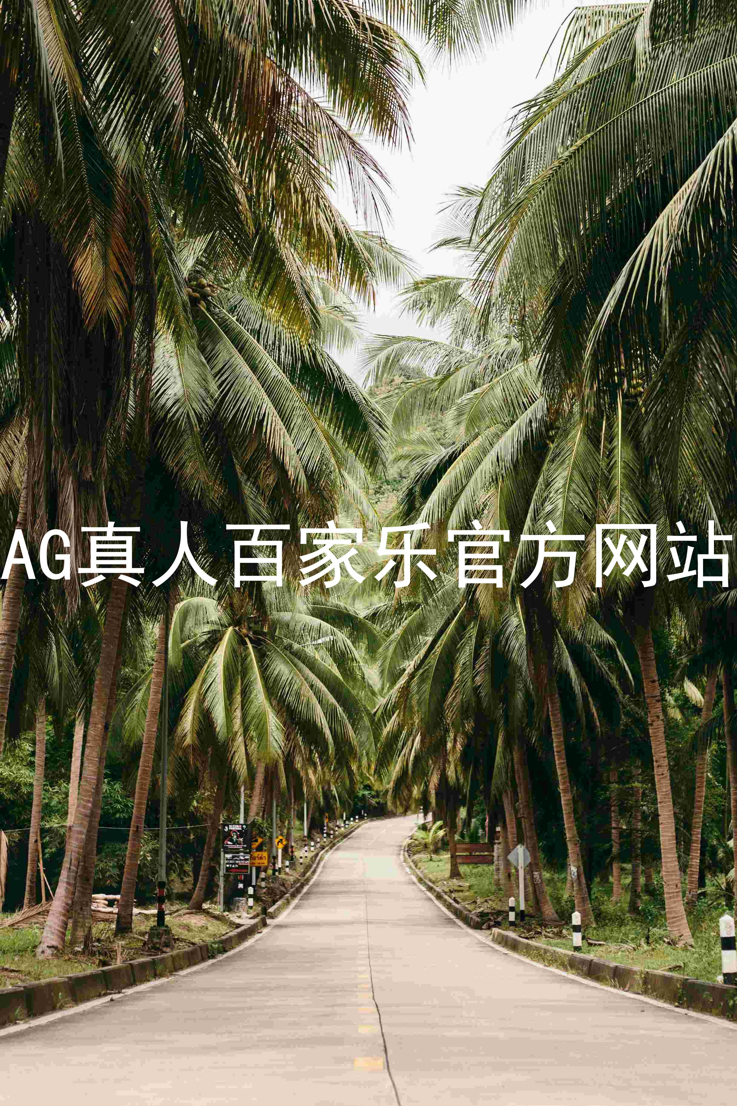 AG真人百家乐官方网站
