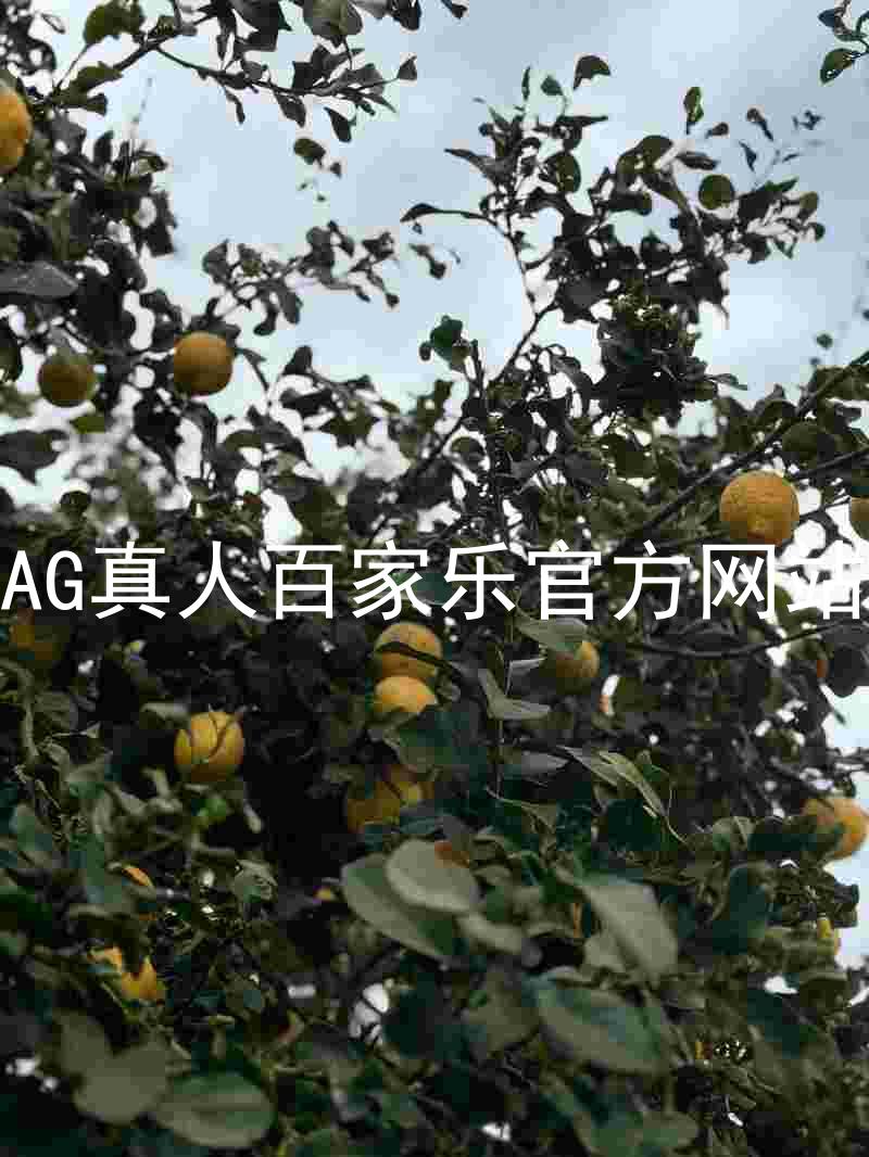 AG真人百家乐官方网站