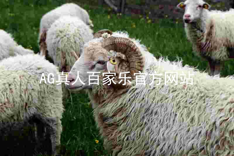 AG真人百家乐官方网站